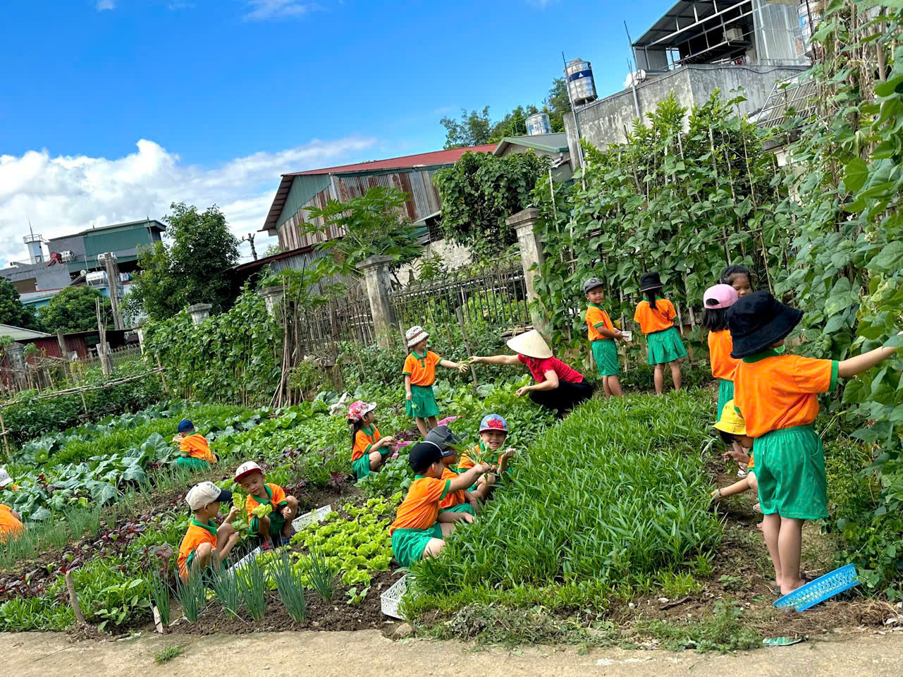 VƯỜN RAU SẠCH CỦA BÉ Ở TRƯỜNG MẦM NON NOONG BUA